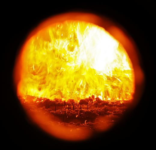 Bild Feuerbox  - Verbrennung Gehlzschnitt, Holzheizkraftwerk  33_48028 Blick in die Feuerbox des Holzheizkraftwerk Lohbrgge, in der bei ca. 800 das Holz zur Energiegewinnung verbrannt wird.