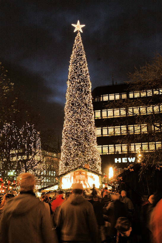 4999_0450 Beleuchteter Weihnachtsbaum Tannenbaum mit Lichterketten
