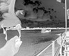 warten_auf_die_faehre.html