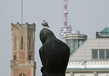 011_14637 - weise Mwe auf dem Kopf vom Heinrich-Heine-Denkmal am Rathausplatz; re. im Hintergrund der Sendemast vom Fernsehturm.