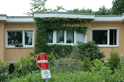 011_14307 Fensterfront mit Efeu bewachsen; Verkehrsschild " Einfahrt verboten" Fhrrder frei.