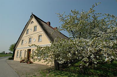 011_14063 - reetgedecktes Bauernhaus an der Deichstrasse