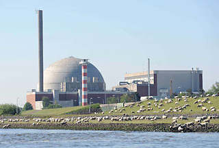 061_4781 Das Atomkraftwerk am Elbufer bei Stade befindet sich seit 2005 im Rckbau - der Abriss des Kraftwerks soll bis 2015 abgeschlossen sein. Eine Schafherde weidet auf dem Elbdeich - einige der Tiere stehen am Flussufer der Elbe und trinken Wasser.