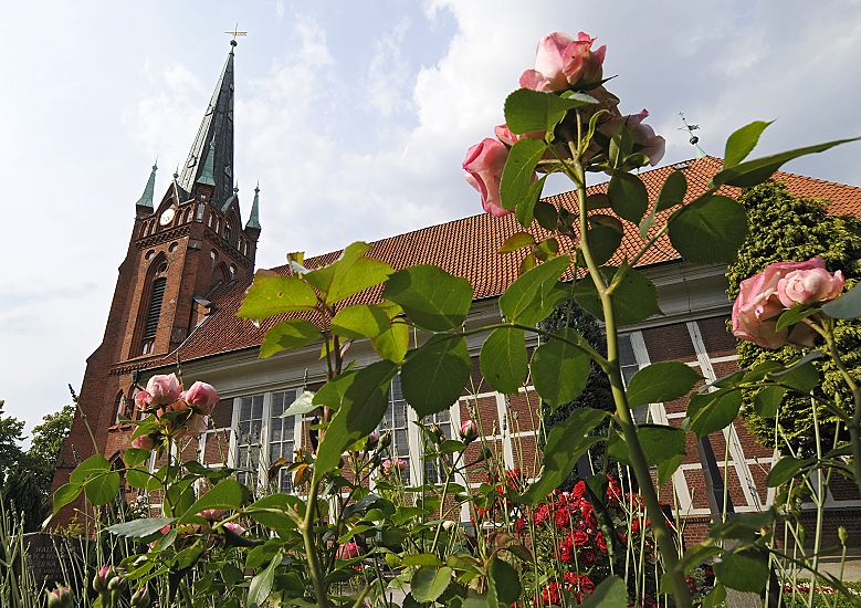 11_17537 hamburg Fotos Hamburger Bilder: die Rosen blhen auf dem Friedhof der St. Nikolaikirche in Hamburg Moorfleet. 