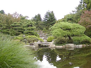 Bilder Hamburg Botanischer Garten Japangarten Flottbek