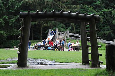 011_15945 - Spielplatz mit Klettergerst aus Holz auf der Wiese am Wald.
