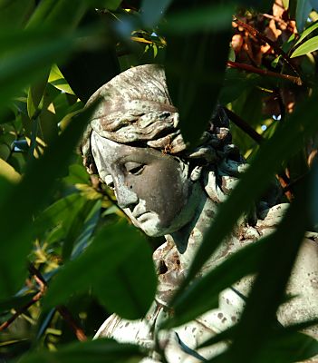011_15323 Bronzeskulptur zwischen den hohen Gehlzen des Rhododendron auf dem Friedhof in Hamburg Ohlsdorf.