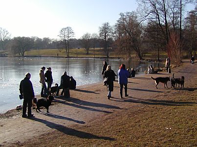 011_15408 das Areal des ehem. Cafes ist am winterlichen Seeufer ein Treffpunkt fr Hundefreunde geworden; die Menschen sitzen in der Wintersonne whrend die Hunde miteinander spielen. 