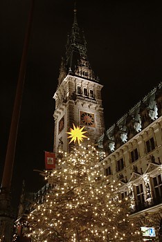 04_22712 beleuchteter Weihnachtsbaum mit leuchtendem Stern an der Spitze.