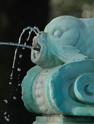 011_15033 - Wasserspeier Fisch am Sockel der Bronzefigur vom Puvogelbrunnen.
