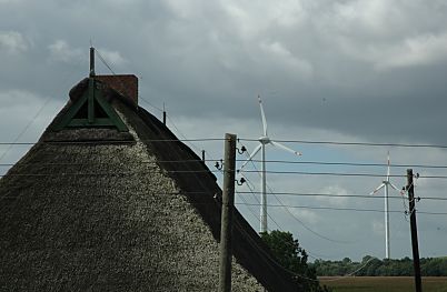 011_14889 - Reetdach mit Blitzableiter; im Vordergrund Holzmasten mit Stromleitungen, im Hintergrund Windrder der Windkraftanlage von Georgswerder.