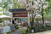 8450_2838 Gartencafe Altes F�hrhaus in Hamburg Cranz. Die G�ste des Caf�s sitzten in der Sonne unter bl�henden Kirschb�umen. Cranz wurde erstmals 1341 urkundlich erw�hnt. Der Name weist auf die Eigent�mlichkeit der Siedlung hin, die H�user direkt an die Deiche zu bauen, so dass sie in 