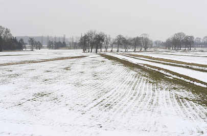 0330 Winterlandschaft - Felder im Spadenland - Schnee und grauer Himmel.