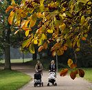 11_18986 Herbst in Hamburg - die Bltter der Bume und Strucher im Hamburger Stadtpark frben sich gelb und rot - Mtter gehen mit ihren Kindern im Kinderwagen in Hamburgs grsstem Park in der Herbstsonne spazieren. www.christoph-bellin.de