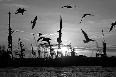 011_15374 - die Hamburger Hafensilhouette in der untergehenden Sonne; die Krane gehren zu der Werft von Blohm&Voss; die Mwen kreisen an den Landungsbrcken. 