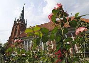 11_17537 die Rosen blhen auf dem Friedhof der St. Nikolaikirche in Hamburg Moorfleet.  