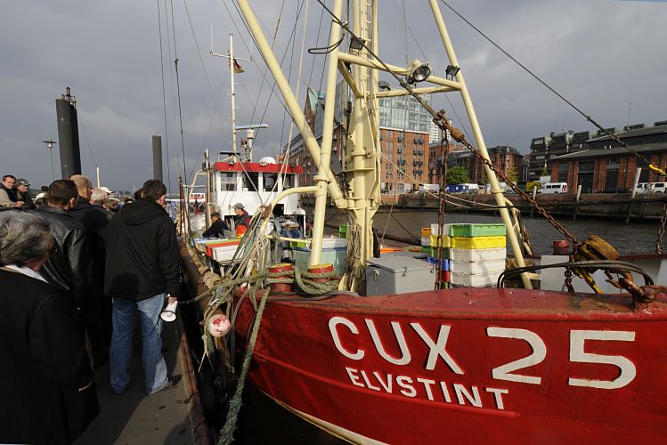 Fotos Hamburger Touristen Attraktionen - Bilder vom Fischmarkt / Fischkutter am Anleger  33_47905 Am Anleger Altonaer Fischmarkt hat der Cuxhavener Fischkutter ELVSTINT am Sonntag Morgen fest gemacht. Direkt vom Kutter verkauft die Besatzung die frisch gefangenen Fische auf dem Fischmartk an ihre Kunden.  www.fotos-hamburg.de