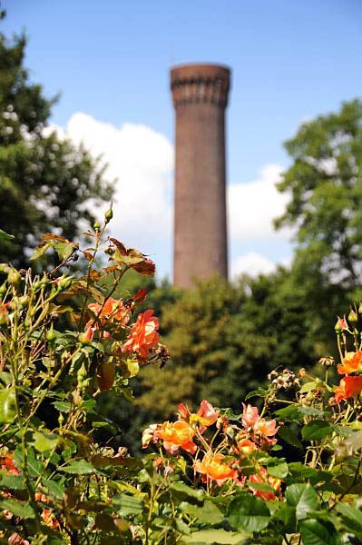 Hamburg-Bilder aus Rothenburgsort Turm Wasserkunst - Rosen Traunspark. 1450_3636 Blick ber die Rosen im Traunspark zum Turm der Wasserkunst in Rothenburgsort. Der kleine Park hinter dem Deich der Billwerder Bucht wurde 1923 vom damaligen Hamburger Gartenbaudirektor angelegt.