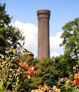 1450_3636 Blick über die Rosen im Traunspark zum Turm der Wasserkunst in Rothenburgsort. Der kleine Park hinter dem Deich der Billwerder Bucht wurde 1923 vom damaligen Hamburger Gartenbaudirektor angelegt.