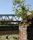 1464_3891 Auf einer zerfallenen Ziegelmauer wchst eine junge Birke. Hinter der Ruine ein Poller am Kai zum Oberhafenkanal. ber die Eisenbahnbrcke fhrt eine S-Bahn Richtung Hamburg Hauptbahnhof.