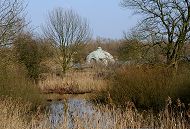 1511_4955  Bis zum Bau der Filteranlage auf der Billwerder Insel Kaltehofe wurde das Wasser ungefiltert aus der Elbe entnommen und als Trinkwasser ber die Stadtwasseranlage in Rothenburgsort an die Hamburger Bevlkerung verteilt. Ab 1893 wurde das aus der Elbe gepumpte Wasser zuerst 2-3 Tage in vier Ablagerungsbecken von den groben Schmutzteilen befreit. Danach wurde das Wasser in 22 Filterbecken geleitet, in denen das Wasser durch eine Sandschicht hindurchsickerte und so zur Trinkwasserqualitt gereinigt wurde. Bis 1990 war die Filteranlage in Betrieb - allerdings wurde schon ab 1964 kein Elbwasser mehr verwendet sondern die Wasserversorgung fand ber neu gebohrte Grundwasserbrunnen statt. Blick auf die zugewachsenen Ablagerungsbecken und eines der halbrunden Pumpenhusern am Rande des Wasserbeckens. 