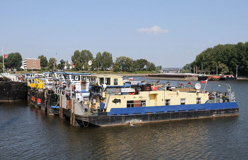 Hamburgbilder aus dem Bezirk Mitte, Stadtteil Veddel. Schubschiffe und Schubleichter im Peutehafen. Bilder aus Hamburg - Christoph Bellin.  232_4247 Mehrere Schubschiffe liegen nebeneinander im Peute Hafen. Als Schubboot, auch Schuber / Schieber genannt, bezeichnet man ein Schiff in der Binnenschifffahrt, das ein oder mehrere Schubleichter schiebt. Einige Frachtschubleichter sind am gegenber liegenden Ufer des Hafenbeckens fest gemacht. Im Hintergrund die Eisenkonstruktion der Eisenbahnbrcke am Billehafen auf der anderen Seite der Norderelbe.