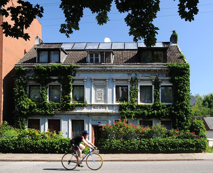 Grnderzeit- Wohnhaus mit Efeu bewachsen, Radfahrer  Bilder aus dem Bezirk Hamburg-Mitte; Stadtteil Hamburg Wilhelmsburg  102_9225 Das Grnderzeit-Wohngebude in der Wilhelmsburger Strasse Vogelhttendeich ist dicht mit Efeu bewachsen. Die Fassade ist hellblau gestrichen, die Fenster sind mit weissen Sulen eingefasst - in der Hausmitte steht in einem Maskeron der Name des Bauherrn C. Helmke. Im Vorgarten blhen rote Rosen - ein Radfahrer mit Rennrad fhrt schnell auf der Strasse. www.bilder-hamburg.de