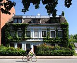 102_9225 Das Grnderzeit-Wohngebude in der Wilhelmsburger Strasse Vogelhttendeich ist dicht mit Efeu bewachsen. Die Fassade ist hellblau gestrichen, die Fenster sind mit weissen Sulen eingefasst - in der Hausmitte steht in einem Maskeron der Name des Bauherrn C. Helmke. Im Vorgarten blhen rote Rosen - ein Radfahrer mit Rennrad fhrt schnell auf der Strasse. www.bilder-hamburg.de