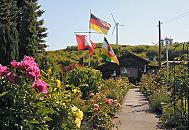 106_8894 Blumenpracht im Kleingarten 723 am Niedergeorgswerder Deich; Pfingstrosen und Strauchrosten stehen in voller Blte. Vor dem Gartenhaus weht die Hamburgfahne und die Deutschlandflagge - im Hintergrund eine der vier Windkraftanlagen auf der Hgel der ehemaligen Mlldeponie Georgswerder. Die Mlldeponie wurde von 1948 - 1979 genutzt, um Haus und Sondermll zu entsorgen. 1983 wurde u.a. das Gift Dioxin im Sickerwasser der stillgelegten Anlage festgestellt. Innerhalb von zehn Jahren wurde der 14 Mio. Kubikmeter umfassende Mllberg aufwndig abgekapselt, so dass keine Gifte mehr austreten sollten. Die Windrder auf der Spitze des abgedeckten Mllbergs wurden zum Erkennungszeichen Georgwerders. www.bilder-hamburg.de