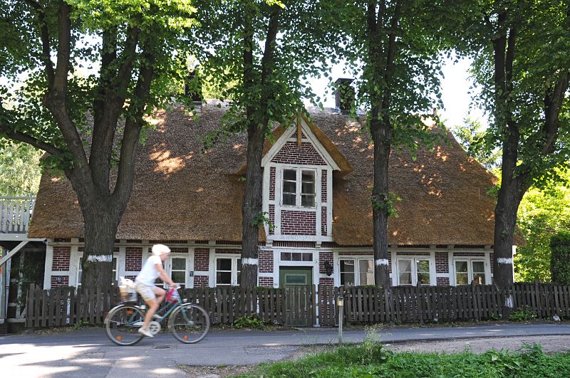 Bilder aus Hamburg- Mitte; Stadtteil Wilhelmsburg, Ortsteil Georgswerder 110_9321 Strohdachhaus in Hamburg-Georgswerder; die Fachwerkbalken des historischen Gebudes sind weiss gestrichen und die Fachwerk-Zwischenrume mit rotem Klinker gefllt. Hohe Linden stehen vor dem Haus, eine Fahrradfahrerin fhrt auf der Strasse. www.bilder-hamburg.de