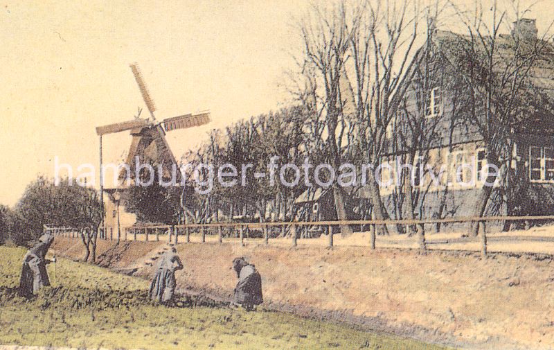 historisches Motiv aus Wilhelmsburg  111_0141a Historische Aufnahme der Wilhelmsburger Windmhle ca. 1900. Die Windmhle wurde 1885 als Galerie-Hollndermhle gebaut - die Vorgngermhlen, die seit 1585 an dieser Stelle standen mussten wg. Bauflligkeit abgerissen werden oder wurden durch Feuer zerstrt. An der Strasse steht hinter Bumen ein Fachwerkhaus, Buerinnen / Mgde mit Schrze und Kopftuch arbeiten auf dem Feld. www.hamburger-fotoarchiv.de