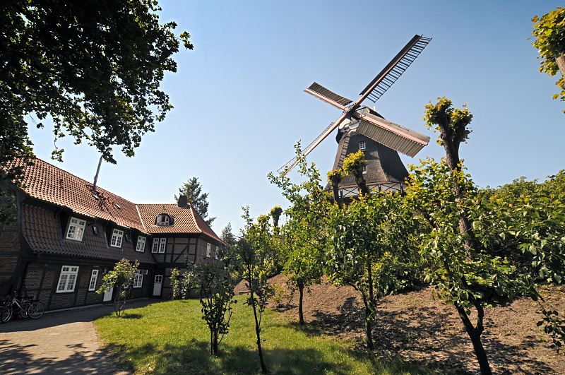 Wilhelmsburger Windmhle Johanna - Windmhlenflgel  Fotos aus Hamburgs Stadtteilen Hamburg - Wilhelmsburg / Kirchdorf  113_8969 Fachwerkgebude am Fuss der Kirchdorfer Windmhle Johanna, die nach der Frau des Besitzer ihren Namen bekam. Die Galerie- Hollndermhle wurde 1885 gebaut und arbeitete bis 1960. Die Stellung der Mhlenflgel zeigt, dass die Windmhle Arbeitspause hat. Am Strassenrand gestutzt Lindenbume, sogen. Kopflinden. www.fotos- hamburg.de