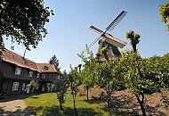 113_8969 Fachwerkgebude am Fuss der Kirchdorfer Windmhle Johanna, die nach der Frau des Besitzer ihren Namen bekam. Die Galerie - Hollndermhle wurde 1885 gebaut und arbeitete bis 1960. Die Stellung der Mhlenflgel zeigt, dass die Windmhle Arbeitspause hat. Am Strassenrand gestutzt Lindenbume, sogen. Kopflinden. www.fotos- hamburg.de