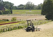 136_9166 Ein Trecker wendet auf einer Wiese in Hambur Moorwerder das trockene Gras und bereitet es zur Heuernte vor. Links die grnen und dunkelroten Reihen eines Salatfelde, im Hintergrund der Deich zur Norderelbe.