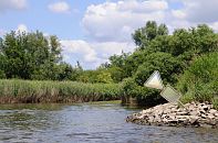 149_0686  Am Ufer der Sderelbe beim Naturschutzgebiet Heuckenlock steht hohes Schilf bewachsen; Bume und Strucher wachsen bis an das Elbufer - Steine befestigen das Ufer und schtzen es vor Absplungen; ein Schild weist auf das Naturschutzgebiet hin. Das Heuckenlock ist einer der letzten Tideauenwlder Europas - es ist ein wichtiges Refugium fr viele Pflanzen- und Tierarten. 