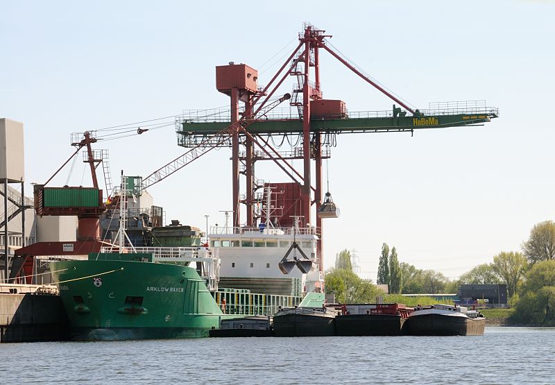 Frachtschiff am Liegeplatz - Massengutfracher + Binnenschiffe; Krananlage.  162_6934Am Reiherstiegkai der der HaBeMa Futtermittelmhle in Hamburg Wilhelmsburg liegt der Massengutfrachter ARKLOW RAVEN und wird ber die Krananlge entladen - lngseits des Frachtschiffs haben Binnenschiffe festgemacht; die Ladeabdeckungen sind geffnet.