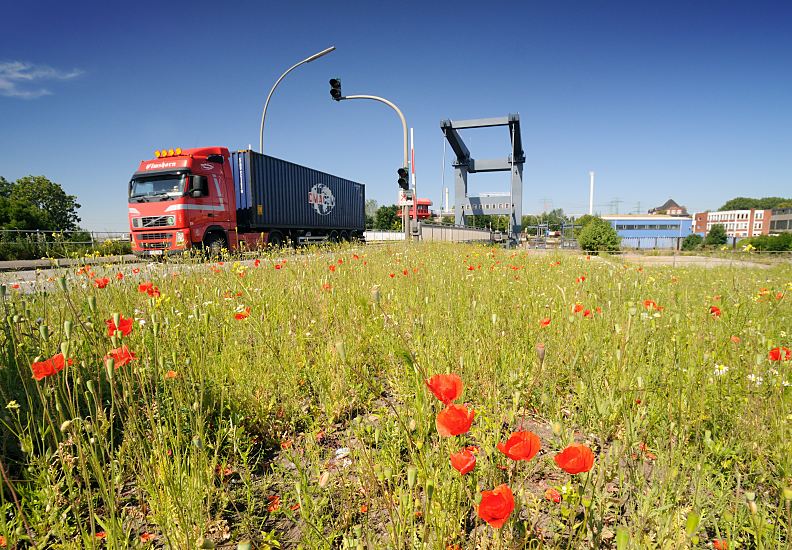 Fotos aus dem Bezirk Hamburg - Mitte / Stadtteil Hamburg Wilhelmsburg Reiherstieg Reiherstieg Klappbrcke - Container-Lastwagen, blhender Mohn  185_0871 Ein Containerlastzug hat die Reiherstiegklappbrcke berquert; die Brcke ber den Reiherstieg wurde 1982 erbaut und ist die grsste Waagebalkenklappbrcke ihrer Art in Europa. Im Vordergrund blht der rote Klatschmohne auf dem Brachland.