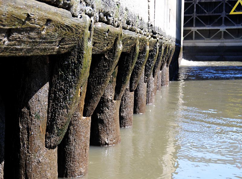 51_8624 Die Wilhelmsburger Ernst-August-Schleuse wurde 1852 beim Bau des Ernst-August-Kanals errichtet und regelt den Wasserstand zwischen Kanal und dem tideabhngigen Elbe Seitenarm Reiherstieg als Wasser-Verbindung zur Norder- und Sderelbe. Die alte Schleuse wird stillgelegt, eine kleinere Anlage mit einer Verbindung durch den Kltjenfelder Hauptdeich wird errichtet. Das Schleusentor ist geschlossen, Wasser wird aus der Schleusenkammer abgelassen um den niedrigen Wasserstand in der Elbe auszugleichen. Die Wnde der Schleusenkammer sind auf Holzstmmen gegrndet. www.fotograf-hamburg.com