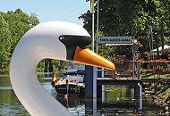 56_8660 Anleger am Ernst-August-Kanal - ein Hamburger Tuckerboot hat dort festgemacht, am Heck eine Deutschland-Flagge. Wasser-Tretboote in Form eines Schwans. ©www.fotograf-hamburg.com