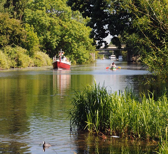 Motive aus Hamburg-Mitte, Stadtteil Wilhelmsburg Schilf am Ufer vom Ernst-August-Kanal; Sportboot und Kanu  59_9364 Der Ernst-August-Kanal ist ein interessantes Freizeitrevier in Hamburg Wilhelmsburg. Ein Motorboot fhrt den Kanal Richtung Ernst-August-Schleuse, Kanuten paddeln ihr Kanu den Kanal hinauf. Im Vordergrund ein Blesshuhn und Schilf am Kanalufer.