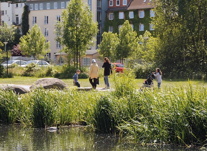 Hamburg-Bilder aus dem Bezirk Hamburg-Mitte, Stadtteil Wilhelmsburg   Grnanlage am Ufer vom Ernst-August-Kanal; Wohnhuser, SpaziergngerInnen  60_8638 Das Ufer vom Ernst-August-Kanal wurde zur Grnanlage umgestaltet, wo die Bewohner Wilhelmsburg spazieren gehen knnen. Die Ufer des Kanals sind mit Schilf bewachsen, Enten finden dort ihre Nahrung. www.fotograf- hamburg.com