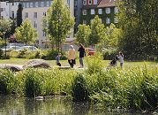 60_8638 Das Ufer vom Ernst-August-Kanal wurde zur Grnanlage umgestaltet, in der die Bewohner Wilhelmsburg spazieren gehen knnen. Die Ufer des Kanals sind mit Schilf bewachsen, Enten finden dort ihre Nahrung. www.fotograf- hamburg.com