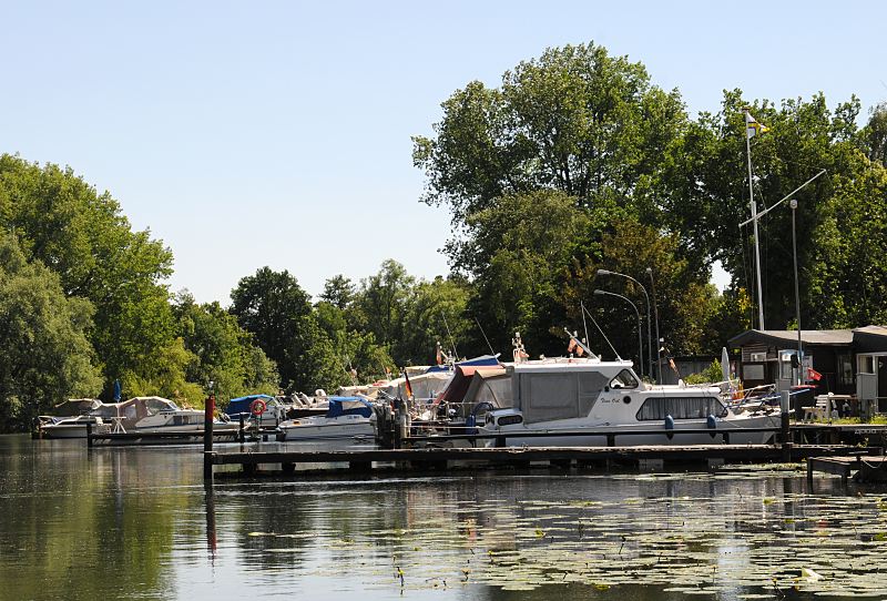 Bilder aus dem Bezirk Hamburg-Mitte, Stadtteil Wilhelmsburg Motor-Yacht-Hafen am Ufer der Wilhelmsburger Dove Elbe  64_8738 BSportboote und Motoyachten liegen am Steg im Yachthafen der Wilhelmsburger Dove Elbe. Seerosenbltter schwimmen auf dem Wasser. www.fotograf- hamburg.com