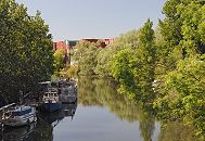 66_9235 Der Jaffe-Davids-Kanal ist ein Seitenkanal vom Ernst-August Kanal. Sportboote liegen an einem Ponton, die Zweige von Weiden hngen weit ber das Wasser des Industriekanals. Im Hintergrund sind Container hoch aufgestapelt - sie berragen die Bume am Kanalufer.  www.fotograf- hamburg.com