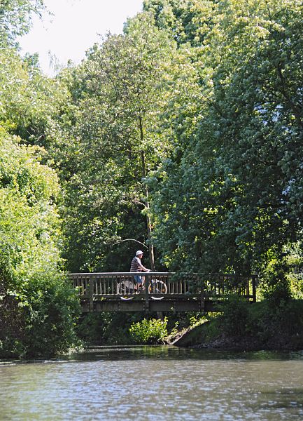 Amannkanal, Holzbrcke Fahrrad Bezirk Mitte - Hamburg-Wilhelmsburg 72_8773 Ein Fahrradfahrer fhrt ber eine Holzbrcke entlang des Wanderweges am Ufer des Assmannkanals. Das Kananufer ist mit Bumen und Bschen dicht bewachsen. Der Amann- kanal ist ein Seitenkanal des Ernst- August- Kanals und wurde 1929 gegraben. Es ist geplant, den Kanallauf bis zur Menge- strasse zu verlngern. www.fotograf- hamburg.de