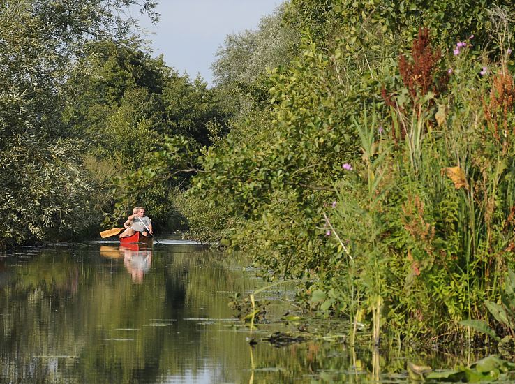 11_21589 Der Verbindungskanal Neuengammer Durchstich ist eine knstlich geschaffene Wasserstrasse, die die Dove-Elbe mit der Gose-Elbe verbindet - der Durchstich wurde frher wirtschaftlich als Transportweg genutzt, jetzt ist er stark versandet und die Uferbereiche stark bewachsen, so dass nur der Kanal nur noch von Kanus befahren werden kann (darf).  www.hamburg-fotos.org 