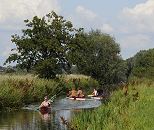 11_21590 Kanuten auf dem Verbindungskanal Neuengammer Durchstich; der Kanal fhrt durch die Wiesen der Vierlande und ist eine beliebte Kanustrecke mit der die Goseelbe und Doveelbe mit dem Boot abgefahren werden kann.  www.hamburg-fotos.org 