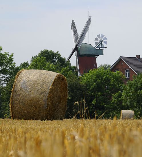 Sommerfotos von Hamburg -  Strohballen und Windmhle  11_21595 Ein Kornfeld im Hamburger Stadtteil Reitbrook, Bezirk Bergedorf  ist abgeerntet - das Stroh ist zu runden Ballen gepresst, die bei der Strohbergung einen einfacheren Abtransport gewhrleisten. Im Hintergrund die Flgel und Windrose der historischen Reitbrooker Wind- mhle. Die Galeriehollnderwindmhle wurde ursprnglich 1773 errichtet und nach einem Brand 1870 neu erbaut.   www.hamburg-fotos.org