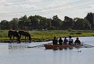 11_21601 Die Dove Elbe verluft durch den Hamburger Bezirk Bergedorf - der Fluss ist ein 18 km langer Nebenarm der Elbe, der schon 1438 mit Deichen und Aufschttungen von der Elbe abgetrennt wurde. Dadurch ist die Dove-Elbe ein sehr ruhiges und idyllisches Gewsser, das ideal fr den Wassersport geeignet ist. Ein Ruderboot fhrt auf dem Fluss - der Doppelvierer mit Steuermann (Steuerfrau?) fhrt gerade an einer Wiese vorbei, auf der zwei Pferde stehen, die aus dem Wasser der Elbe trinken; ein Blesshuhn flchtet vor den Skulls. www.hamburg-fotos.org