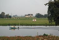 11_21603 Die Dove-Elbe bei Hamburg Allermhe; im Vordergrund eine Blumenwiese, ein kleines Sportboot fhrt ber das stille Wasser der Dove Elbe. Ein Schild am Flussufer weist darauf hin, dass das Anlegen fr Schiffe dort verboten ist. Im Hintergrund ein einsames Wohnhaus am Deich, davor eine Herde Milchkhe auf der Weide. www.hamburg-fotos.org